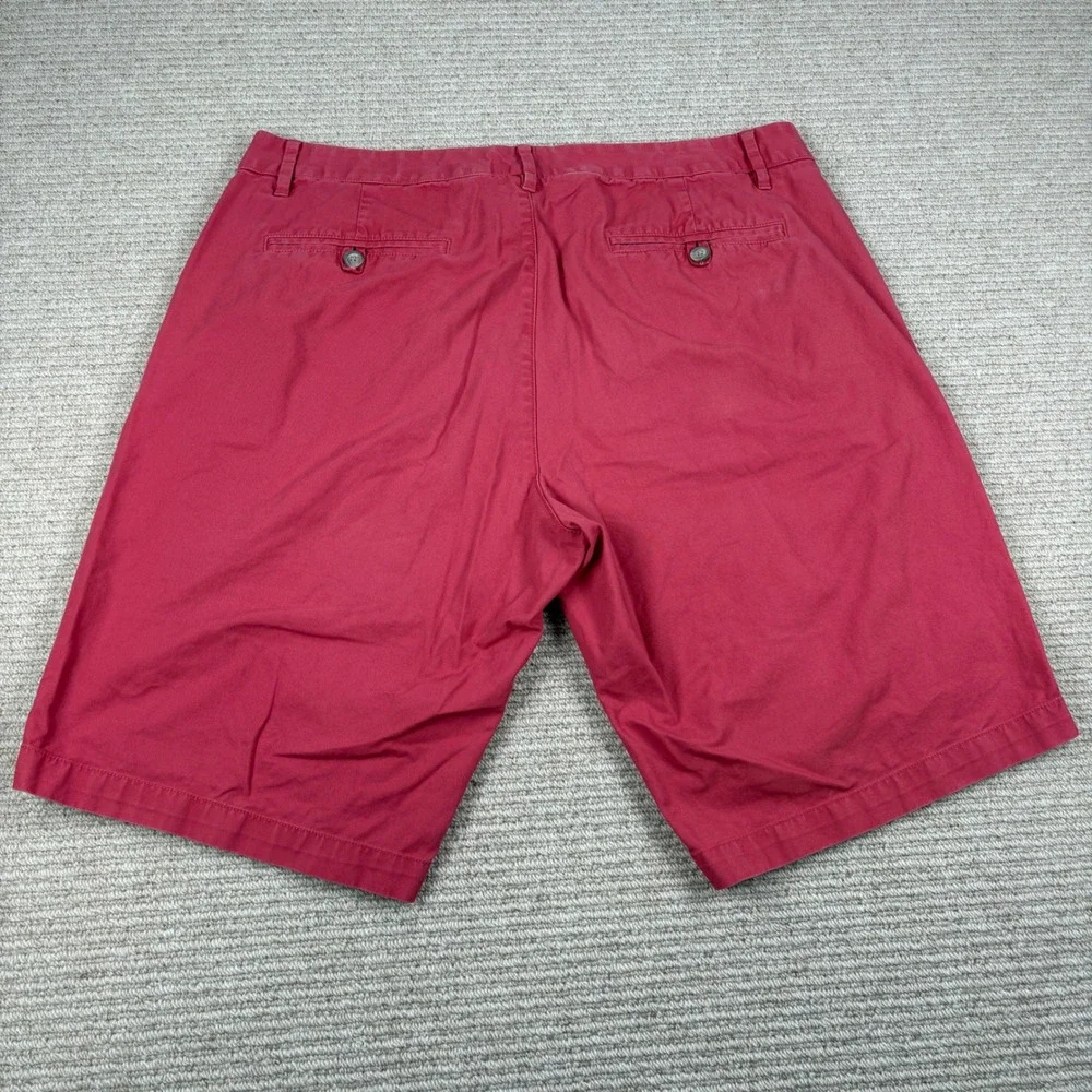 Bonobos 11